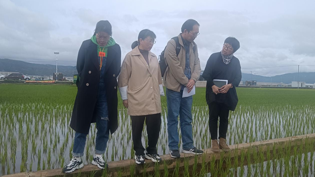 图片1_副本.png